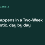 What happens in a Two-Week Diagnostic, day by day